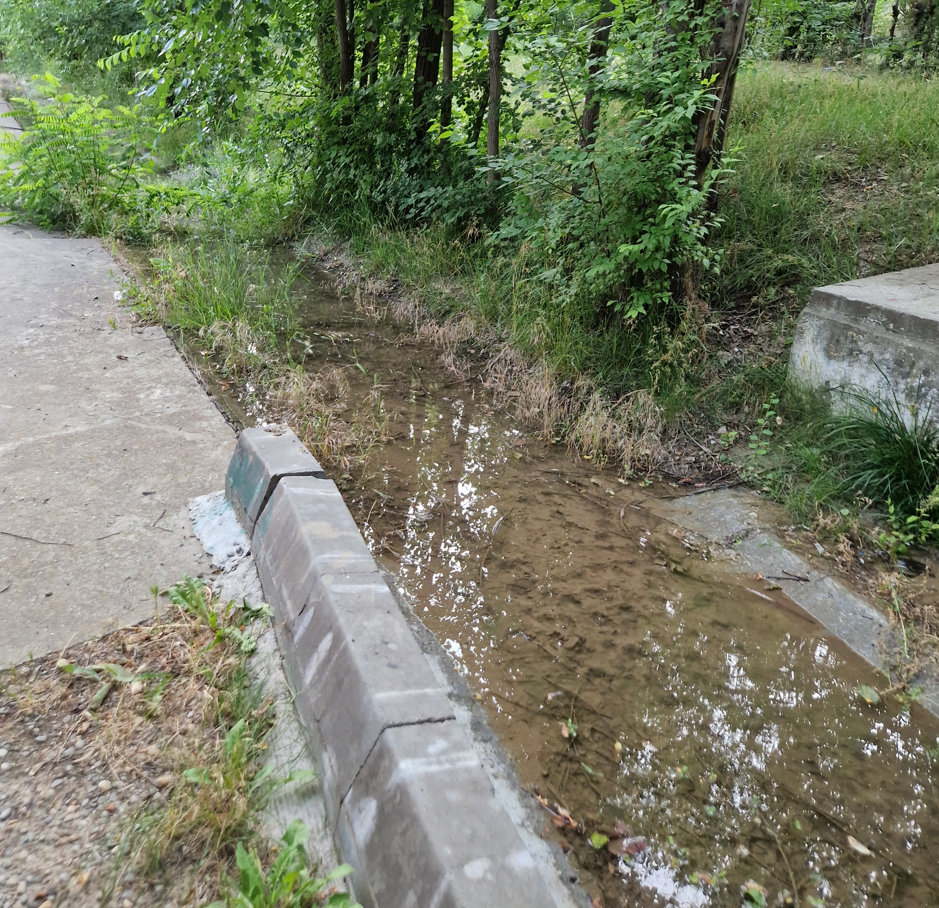 Poza zilei. Unde sunăm când descoperim un... izvor?