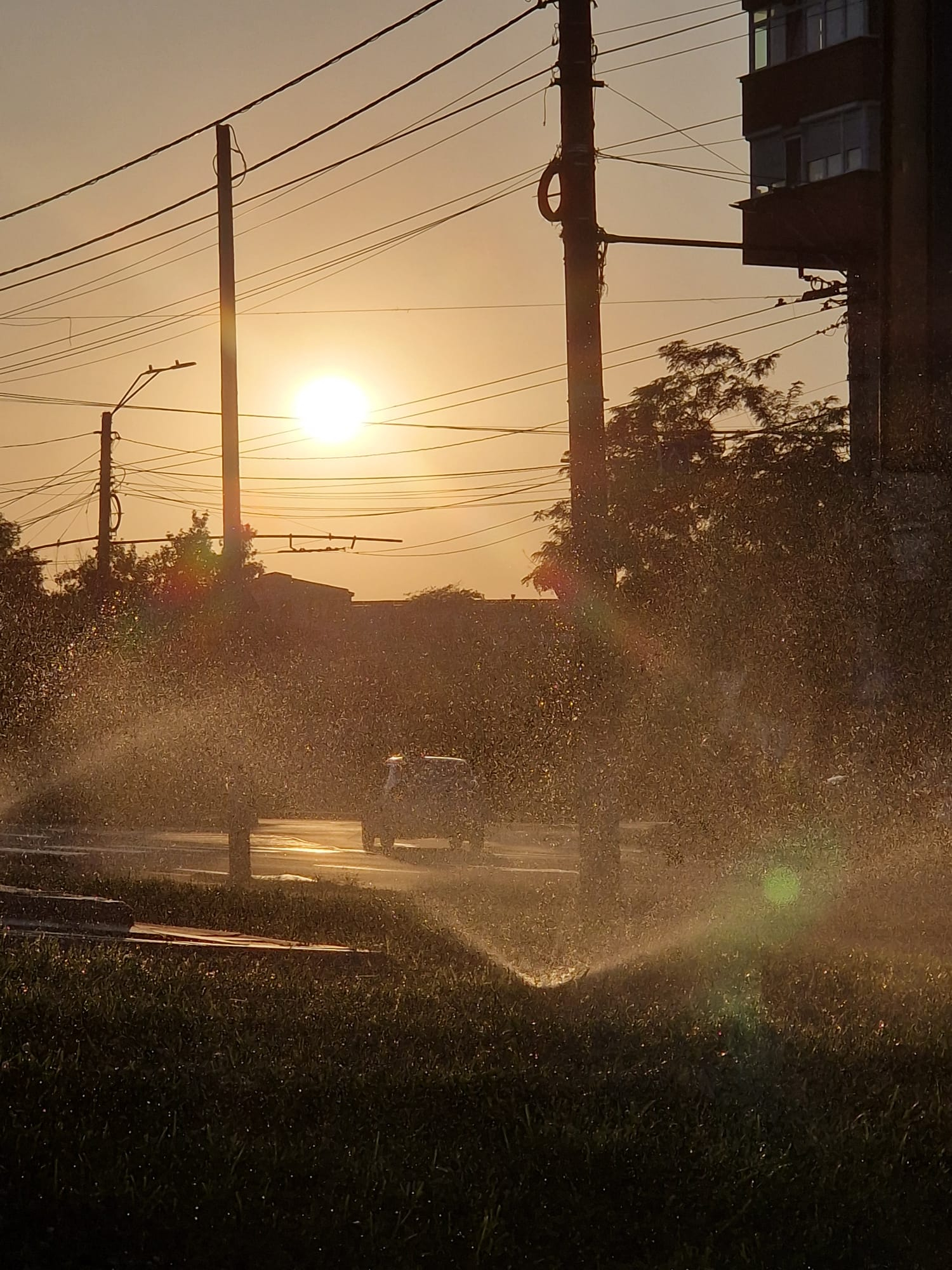 Poza zilei: Ora de aur