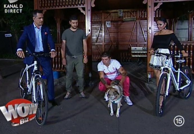 Dulăul Andreei Marin, pe canapea de emisiune