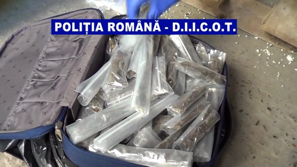 Au fost reţinuţi nouă traficanţi de DROGURI