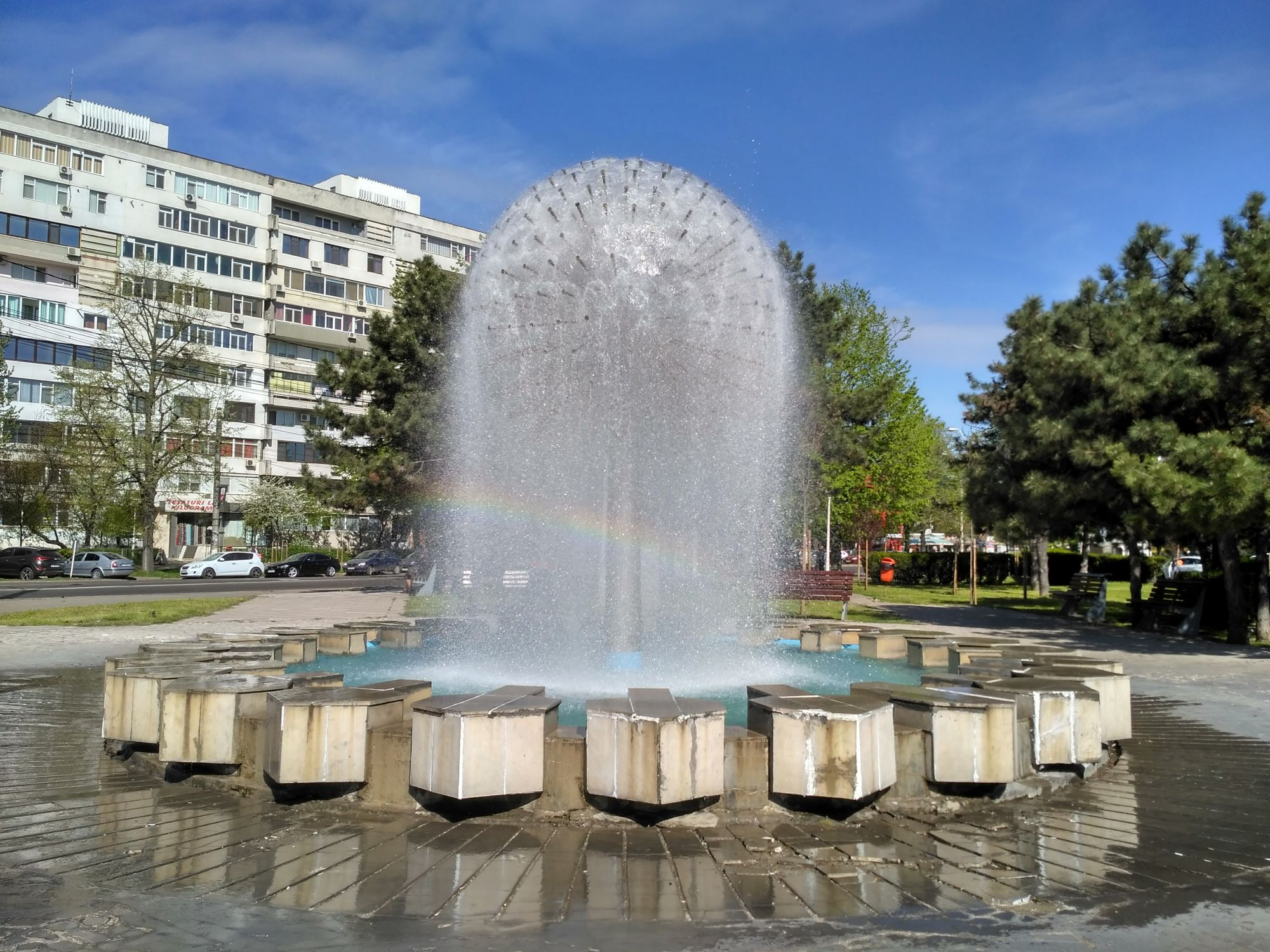 Puf de păpădie şi un curcubeu surpriză (FOTO)