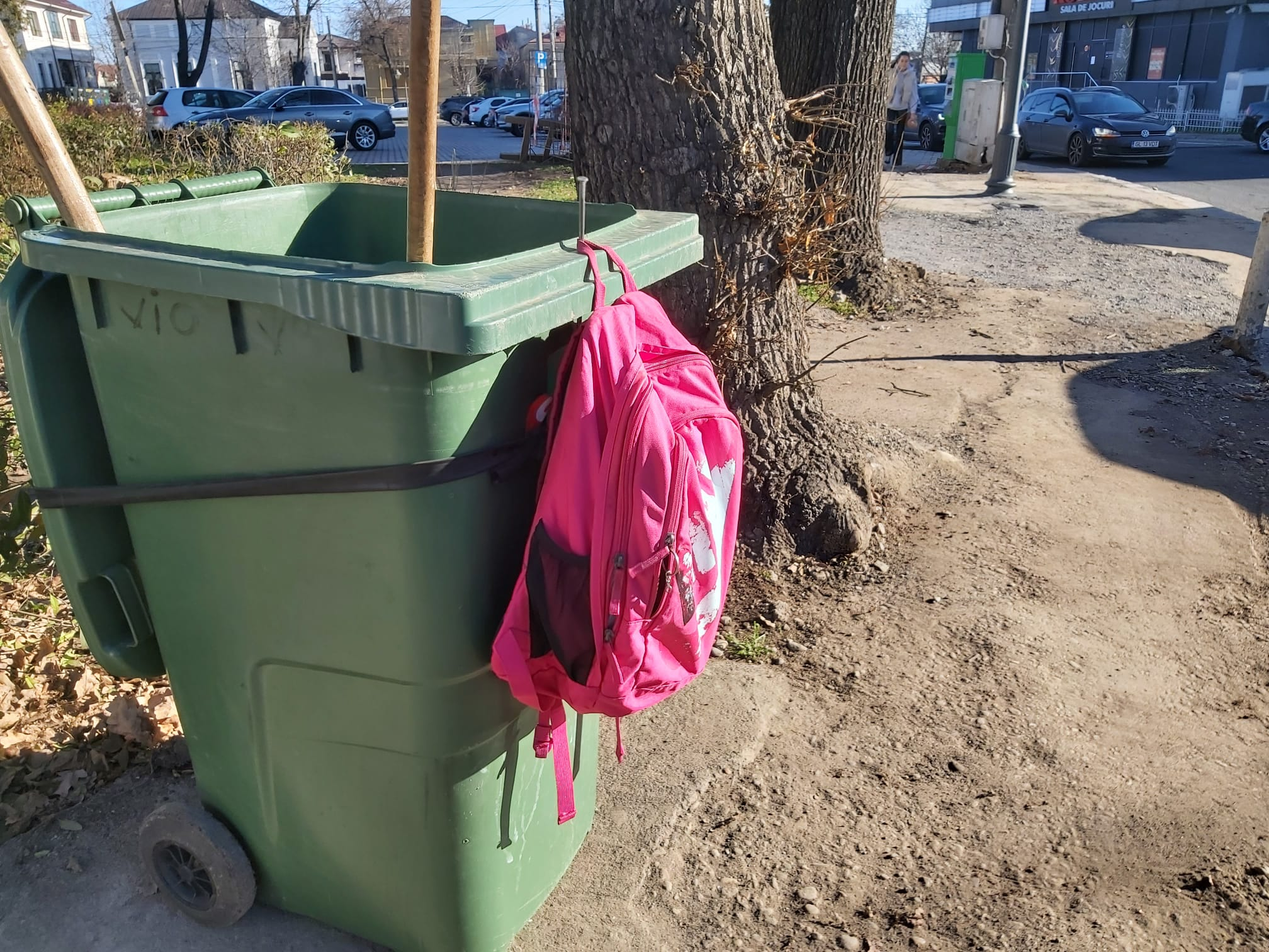 Poza zilei: Gunoiul unora, comoara altora