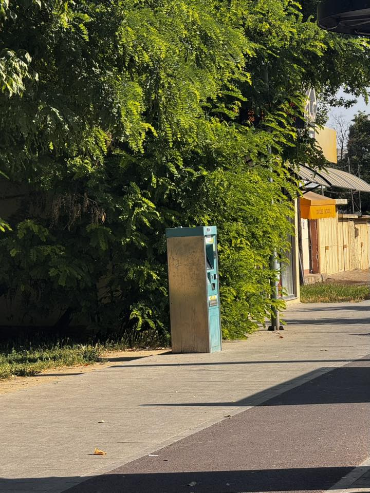 Poza zilei. Eco-survival urban de Galaţi