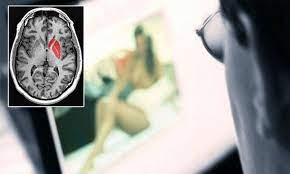 Legătura dintre pornografie și mărimea creierului