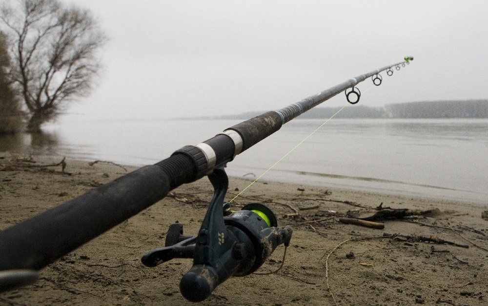 BANI pentru dezvoltarea zonei PESCĂREŞTI. CÂT va fi COTIZAŢIA Consiliului Judeţului Galaţi