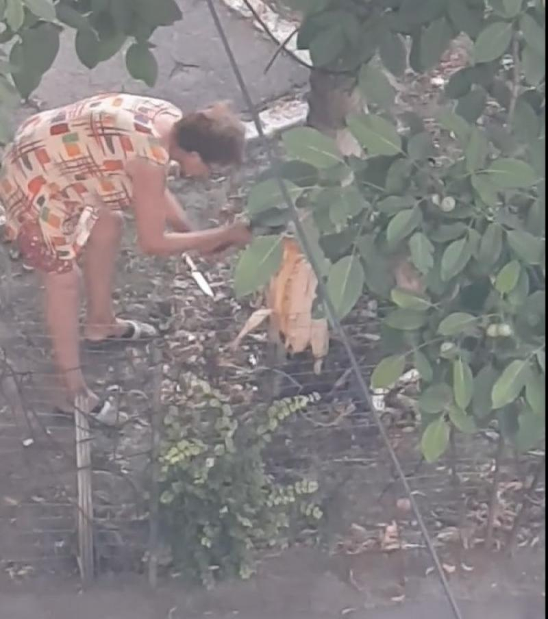 Femeia care a schingiuit un nuc a scăpat ieftin