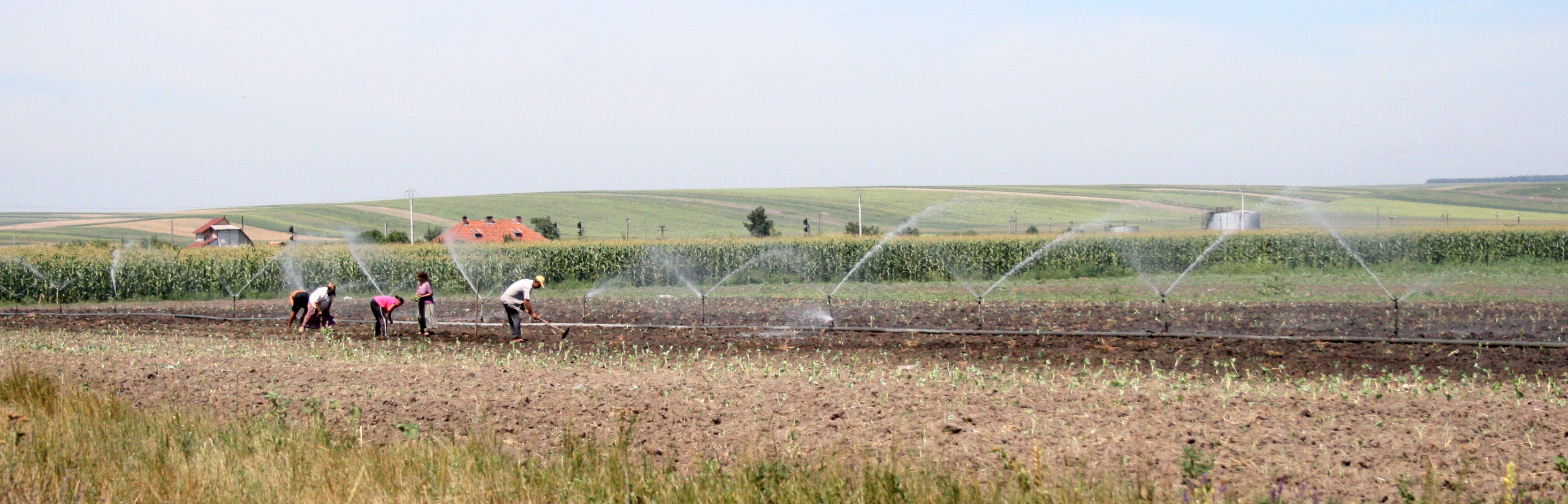 Ce spun Îmbunătăţirile Funciare/ Irigaţii ieftine pentru gălăţeni? 