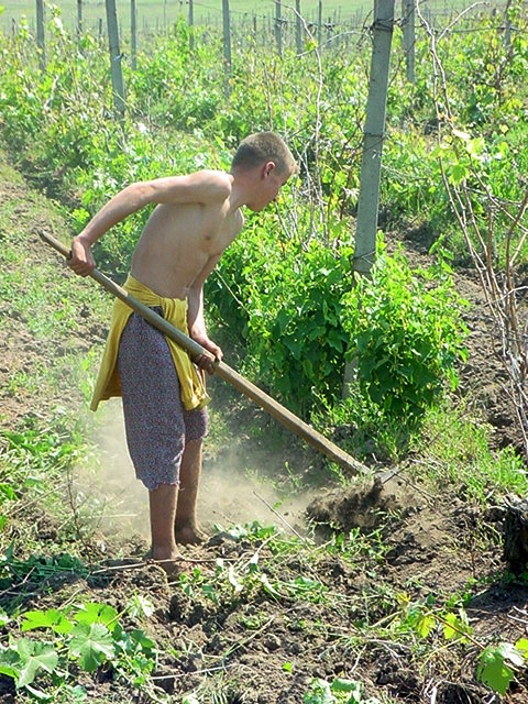 Biruri mai mici pentru ţăranii sărăciţi de secetă, din toamnă