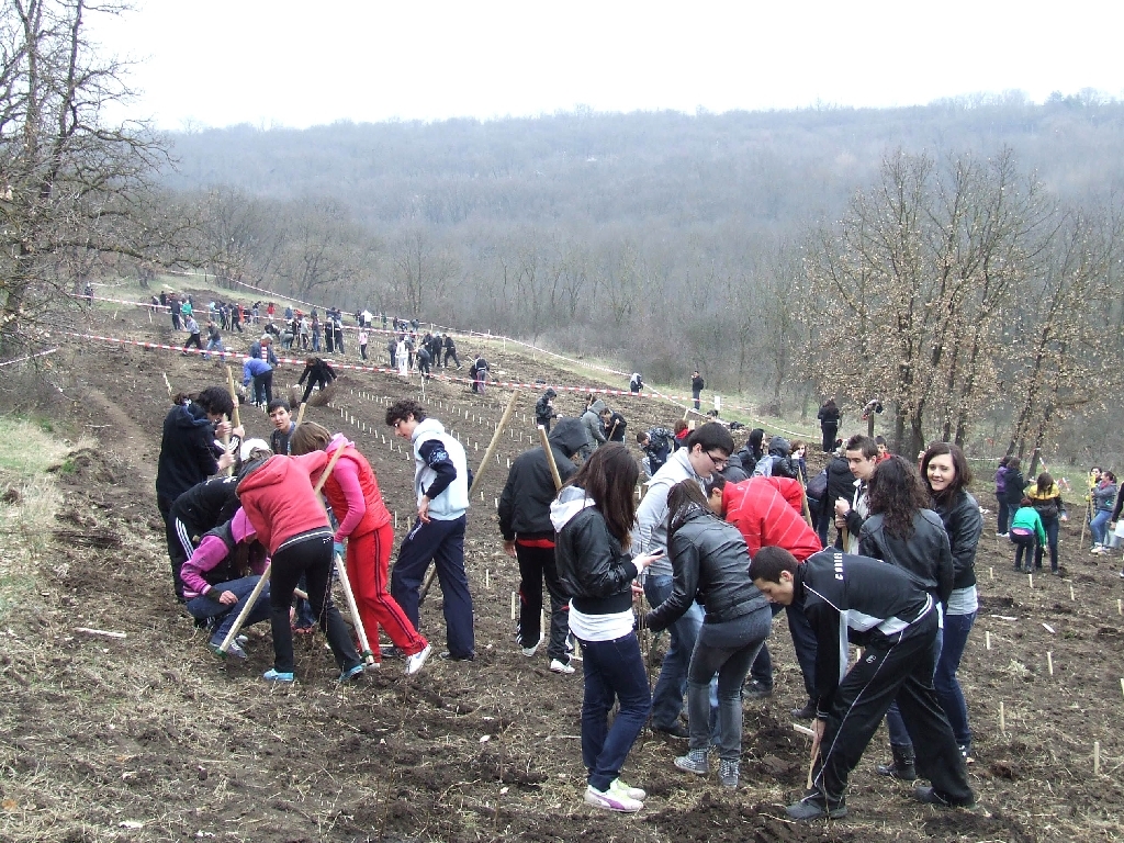 Pământul, sărbătorit cu PLANTĂRI DE SALCÂM. Campanie de ÎMPĂDURIRE în localitatea gălăţeană Munteni