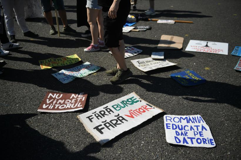 Vaca a fătat, dar cu vițelul ce facem?