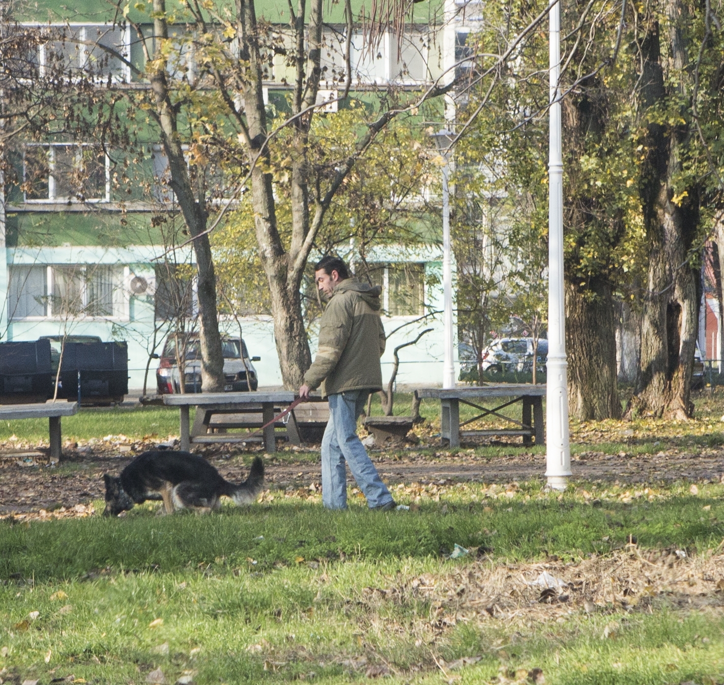 Ţiglina II, jungla cu pretenţii de cartier select (GALERIE FOTO)