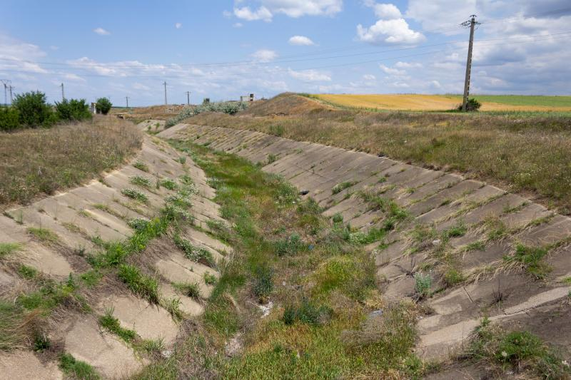 Seceta a afectat jumătate din culturile agricole ale județului