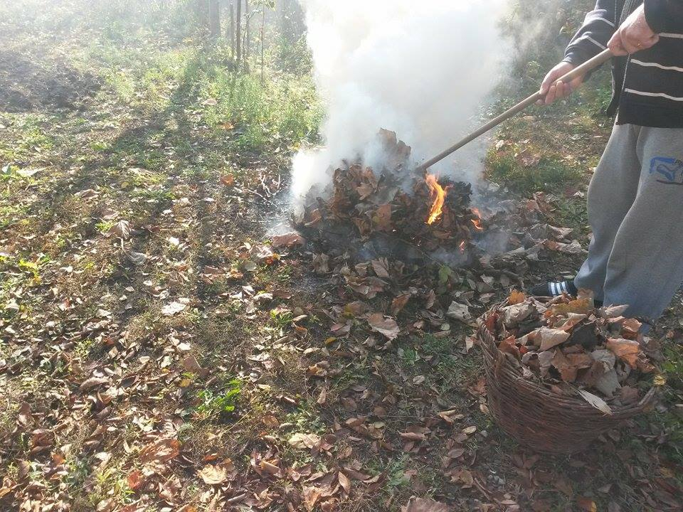 A plătit scump curăţenia de primăvară