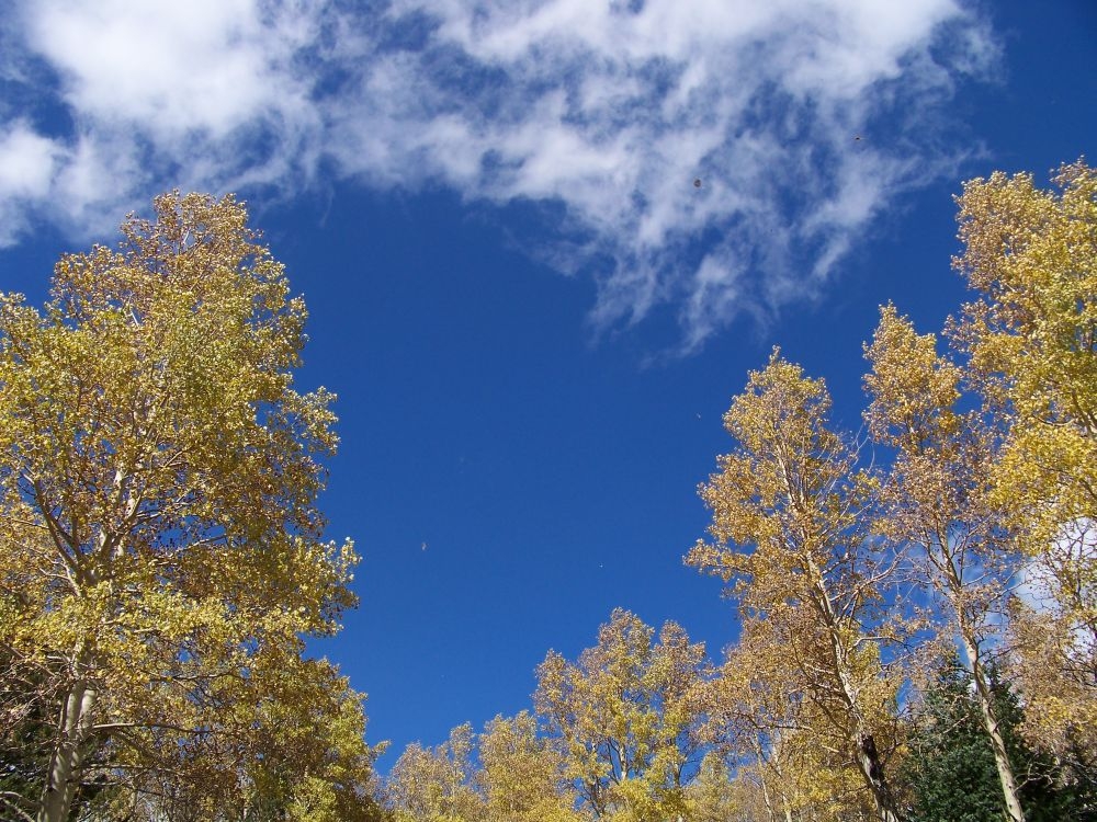 PROGNOZA METEO/ Cum va fi vremea la Galaţi în această toamnă