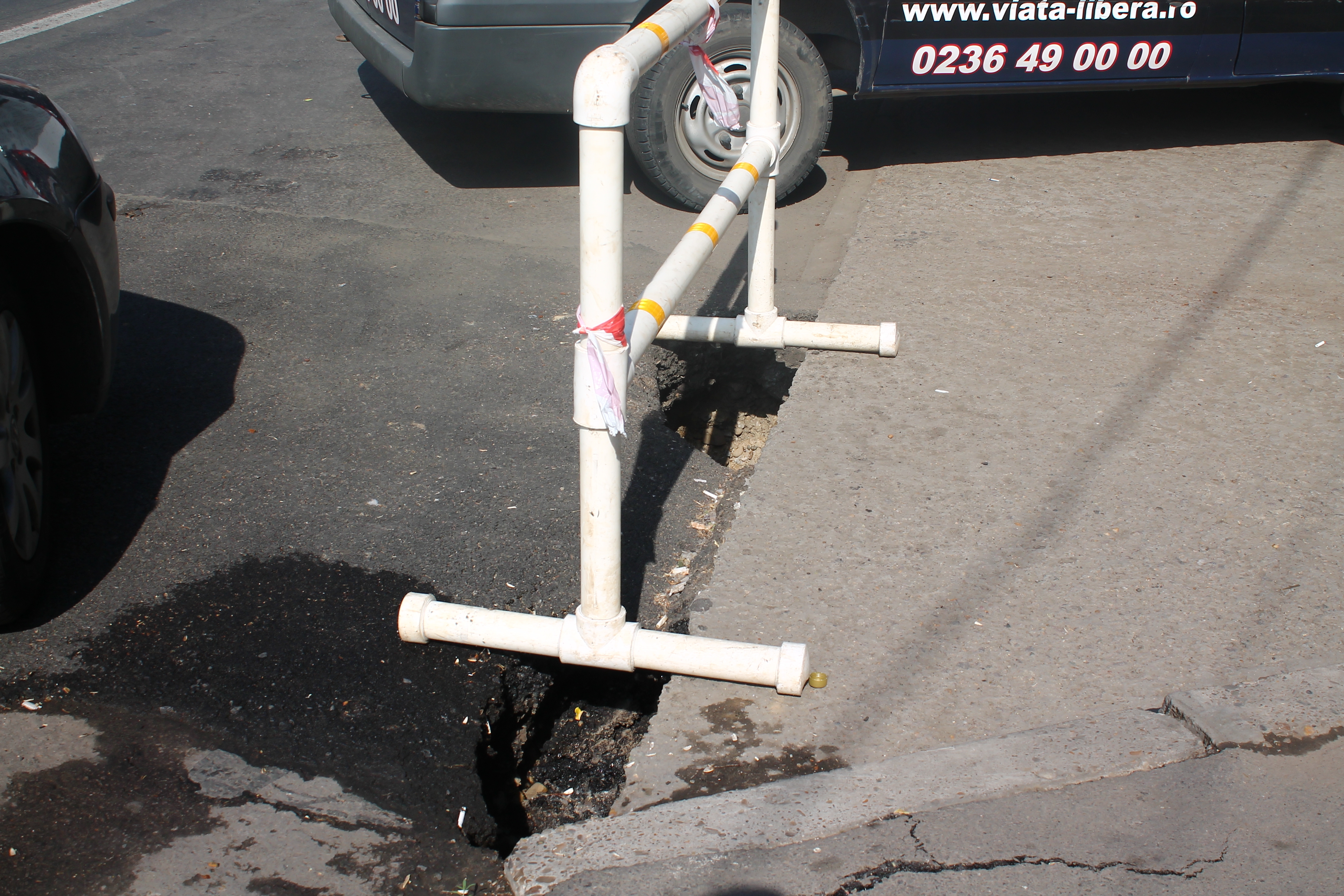 GROPZILLA a făcut pui. O nouă SURPARE a apărut la Spicu