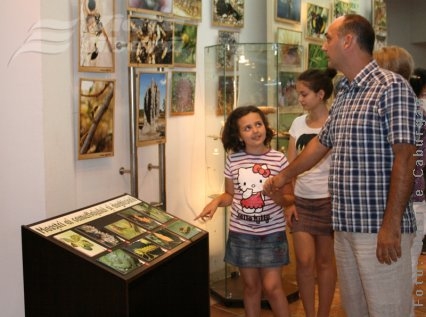 Cum supravieţuiesc insectele. Entomologie pe înţelesul tuturor