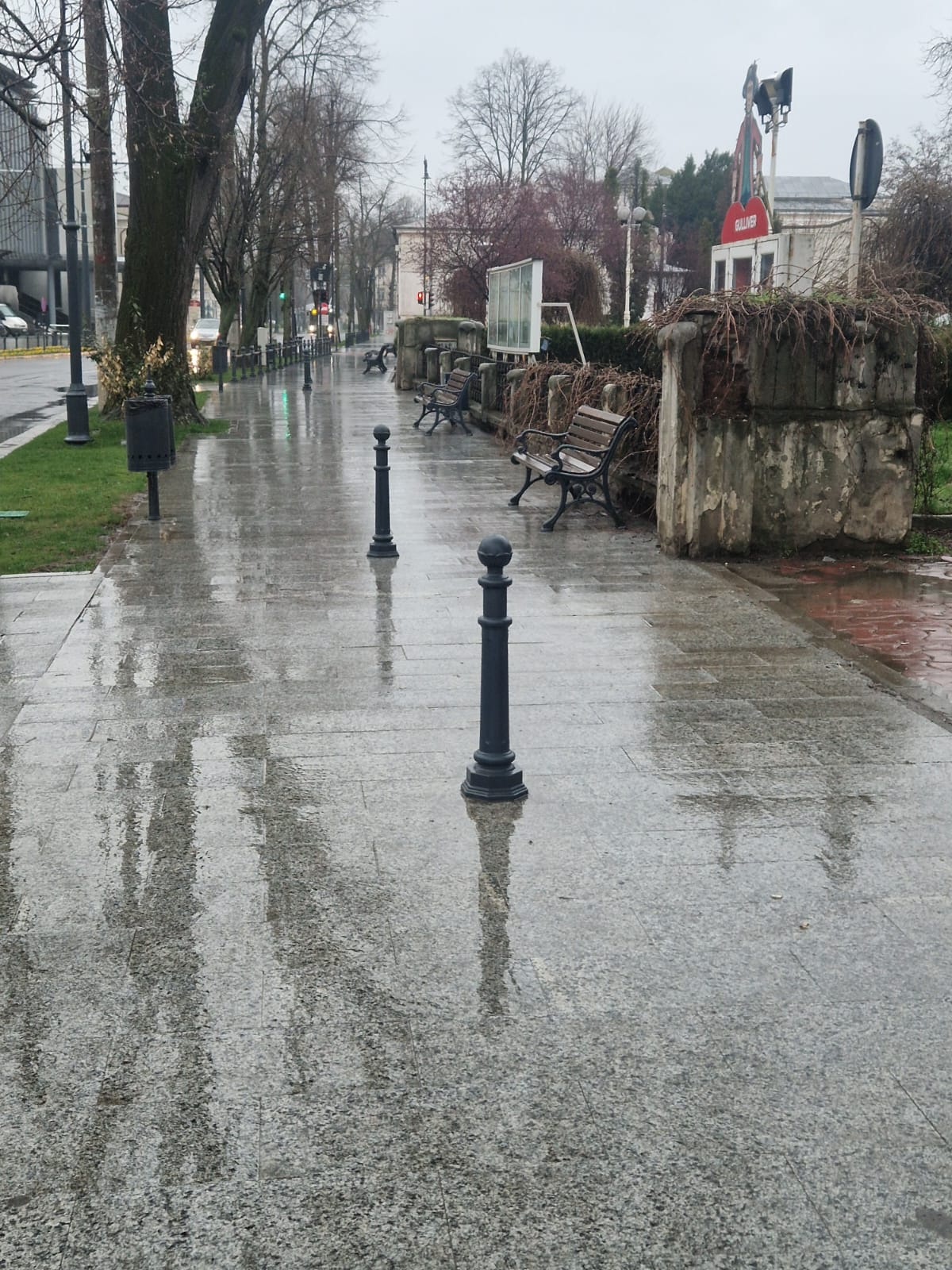 Zi cu ploaie şi temperaturi scăzute