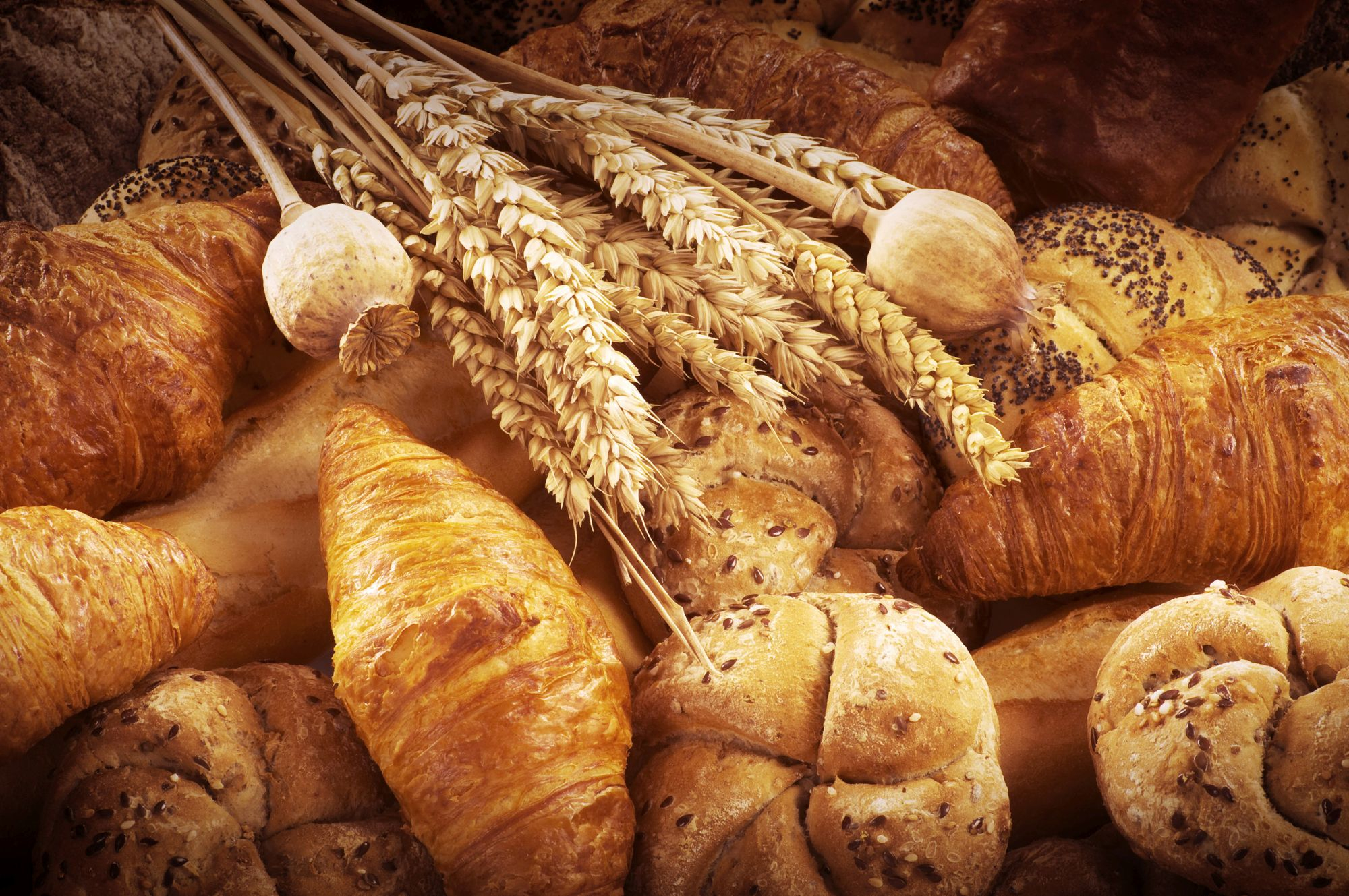 România a avut producţie record de grâu, dar pâinea se scumpește