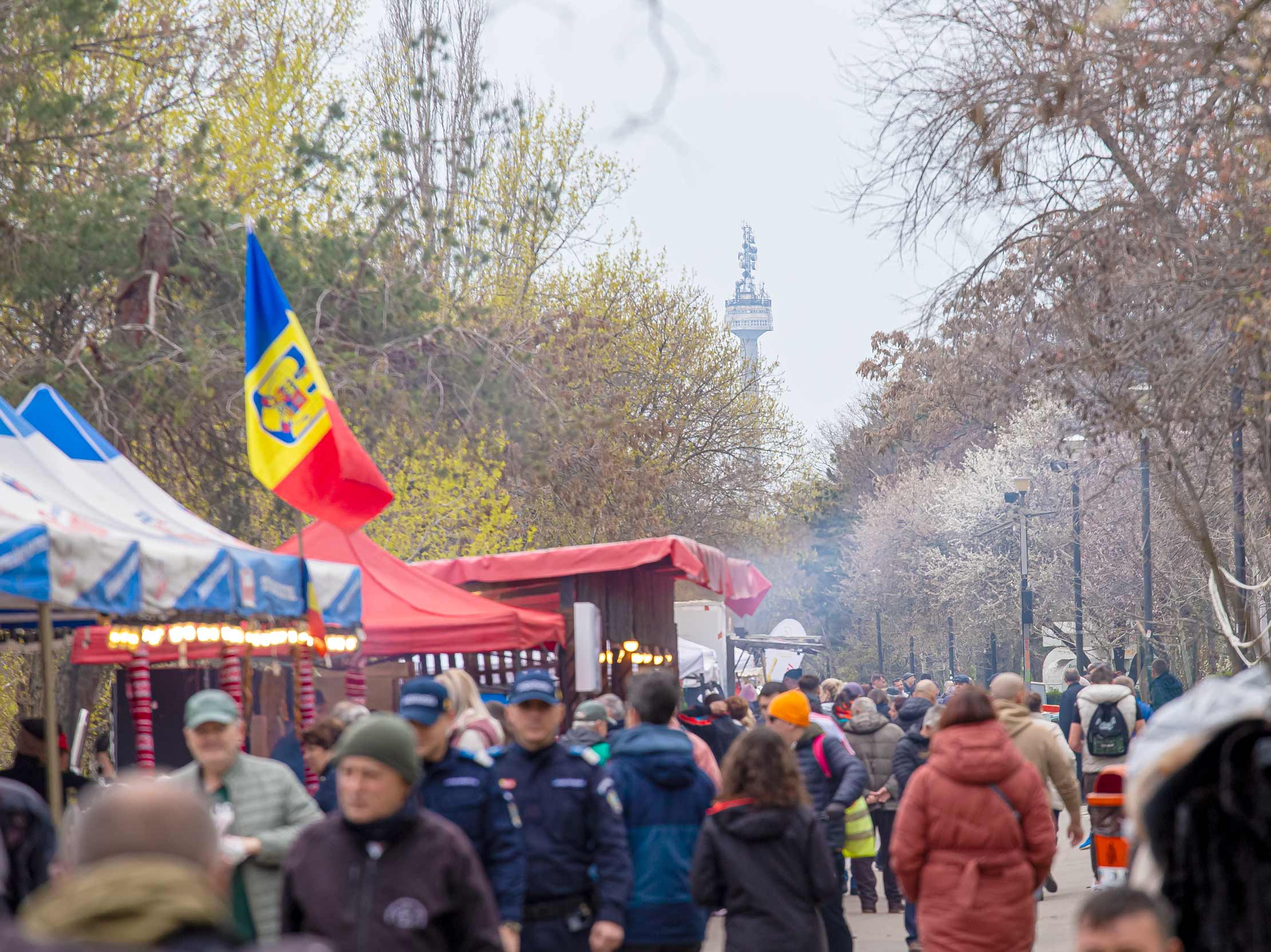 Programul distracției la Festivalul Scrumbiei