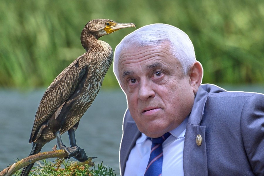 Așchia nu sare departe de trunchiul de piramidă