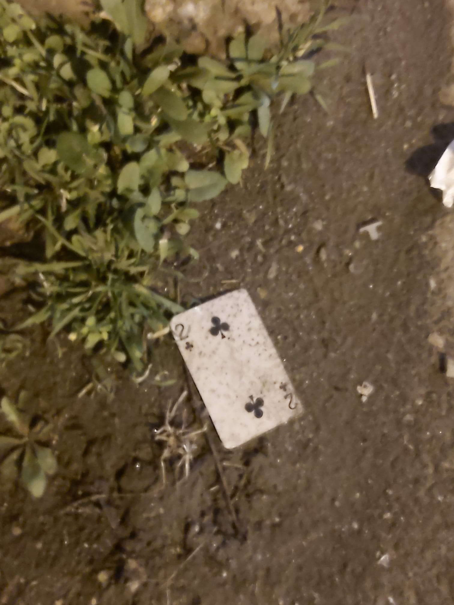 Poza zilei. Uneori, norocul este abandonat în noroi