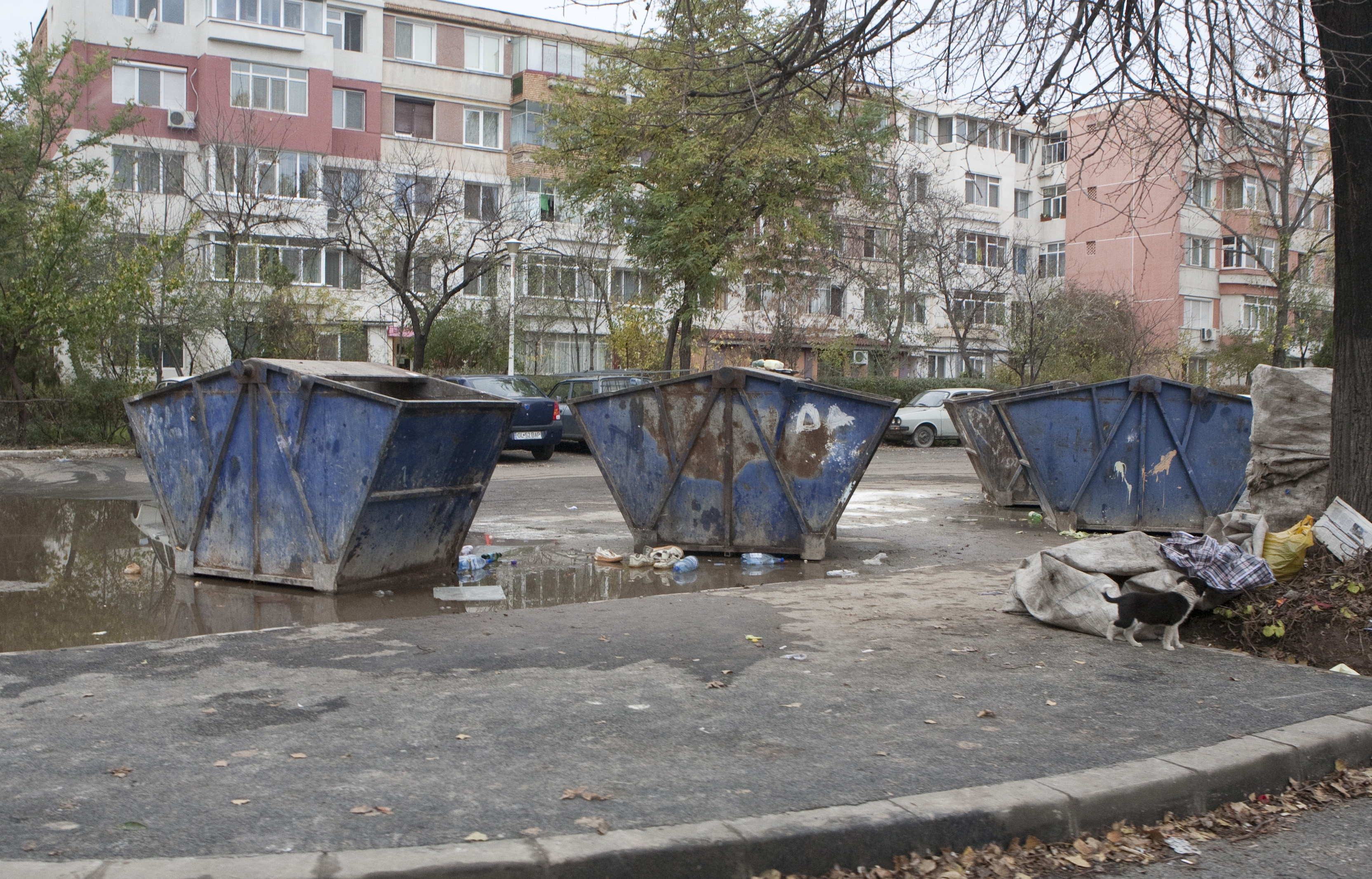 Audit la curăţenie: Gunoaie cu nereguli de 60 de milioane de lei