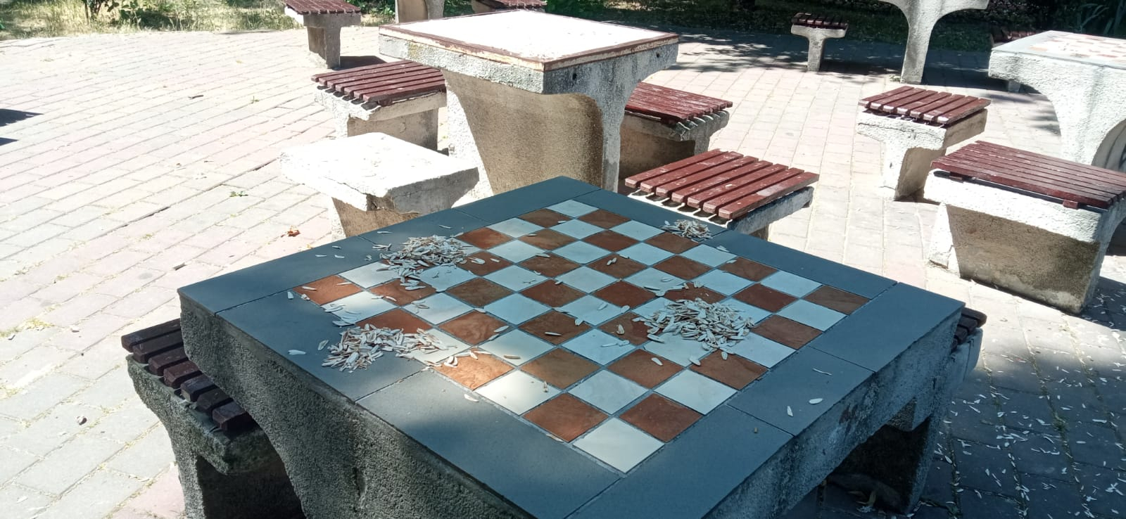 Poza zilei. Atenție, se sparg semințe! Șahul mai are de așteptat
