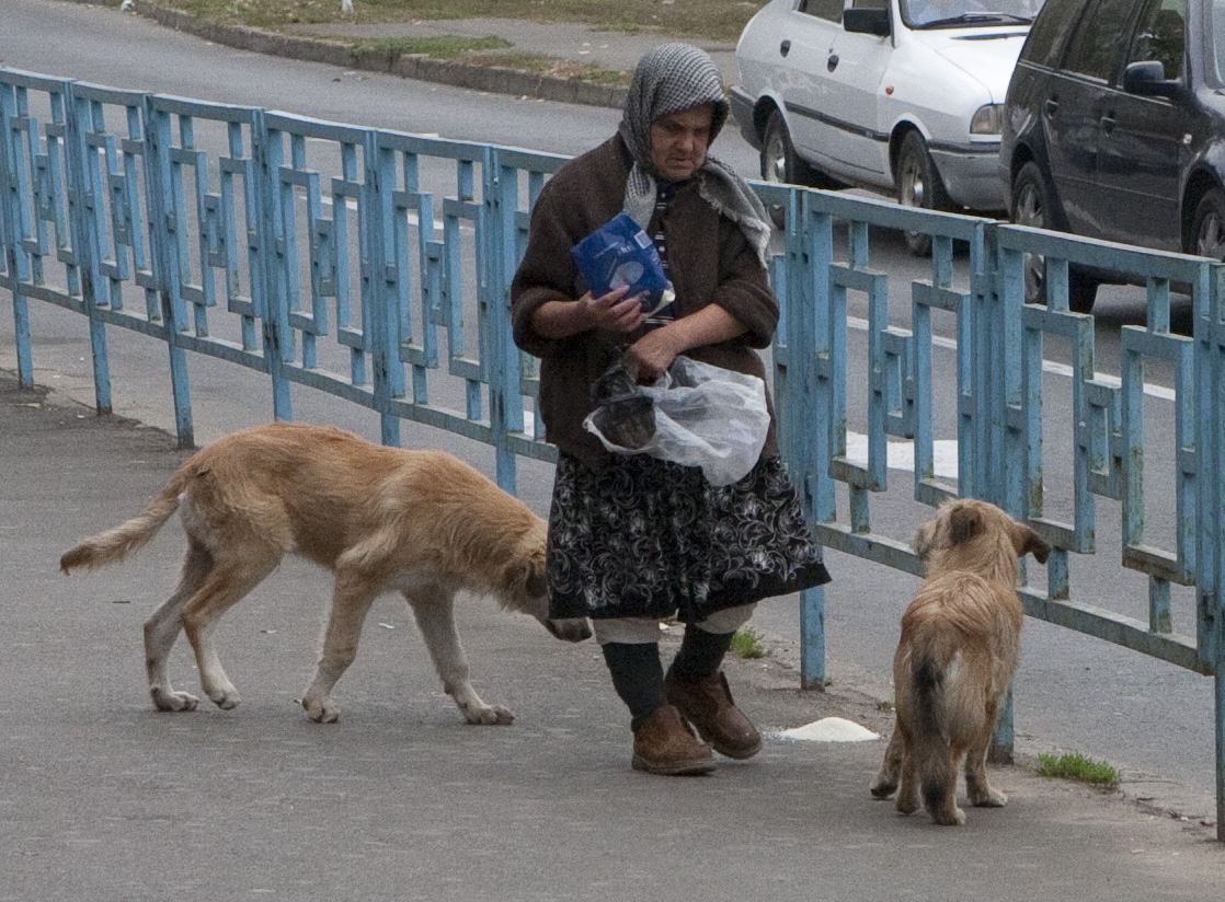 Cartierul Micro 39B deţine mai mulţi câini decât locuitori