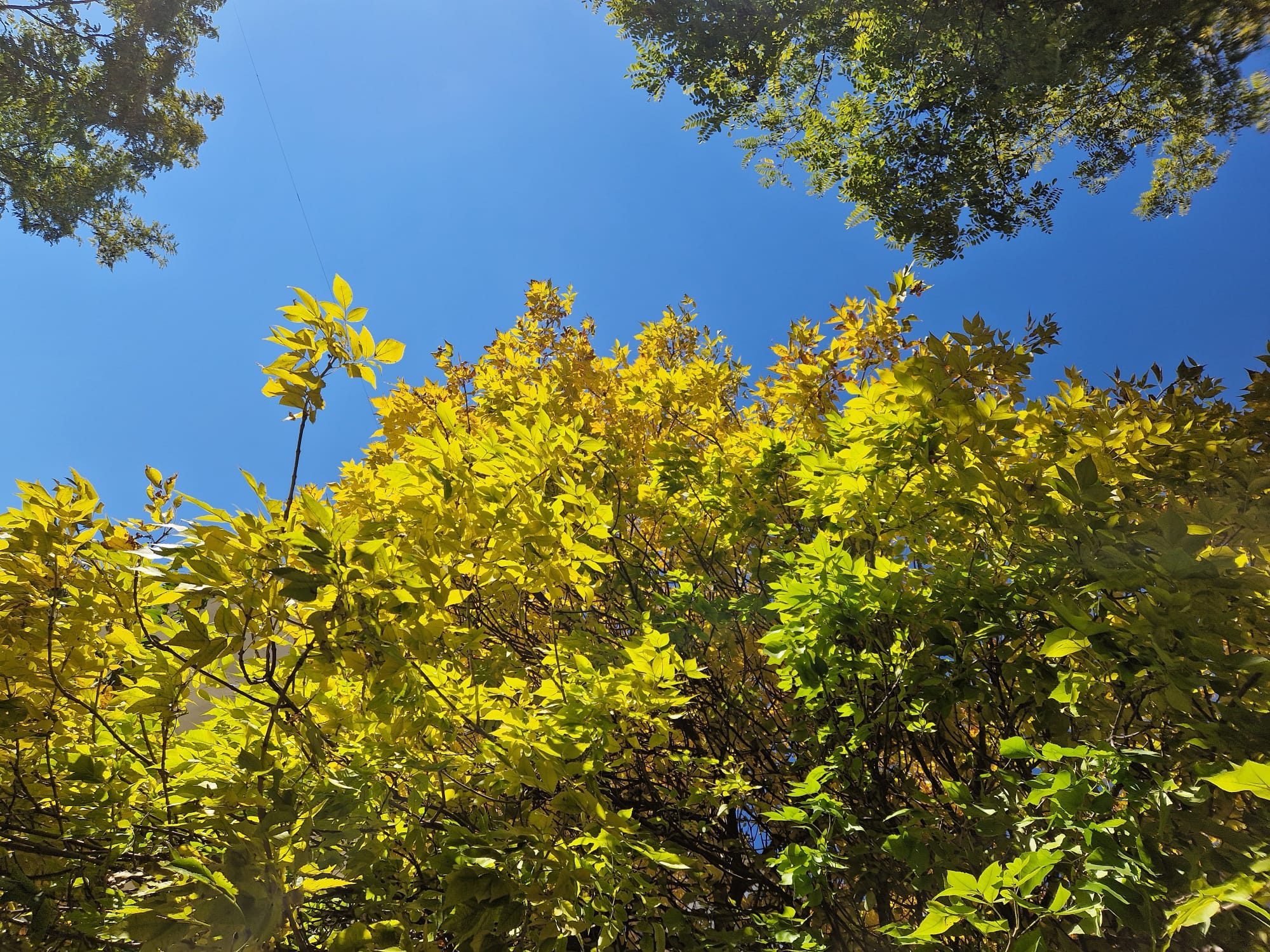 Încălzire şi cer mai mult senin