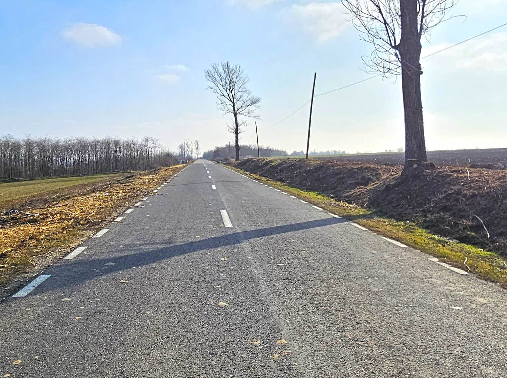 Drumurile județene, curățate de vegetația uscată