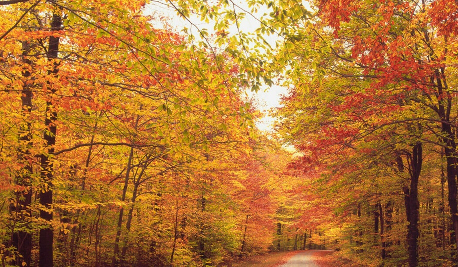 Temperaturi ridicate în septembrie