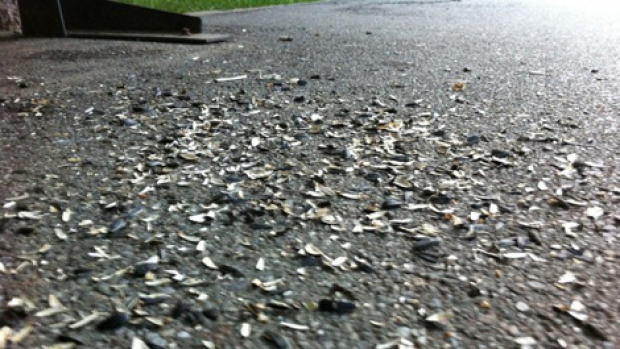 1.600 de lei, pentru cojile de seminţe aruncate pe jos