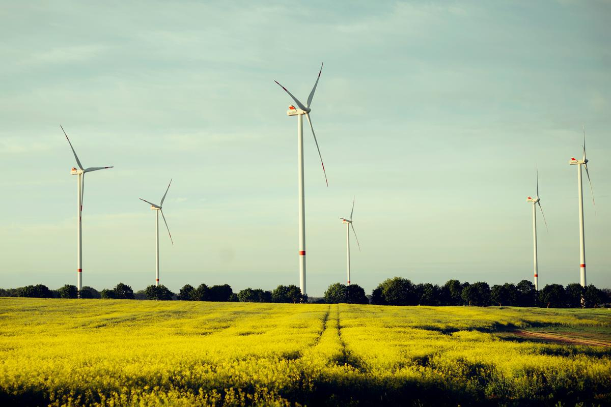 Două noi parcuri eoliene vor fi înființate la Frumuşiţa