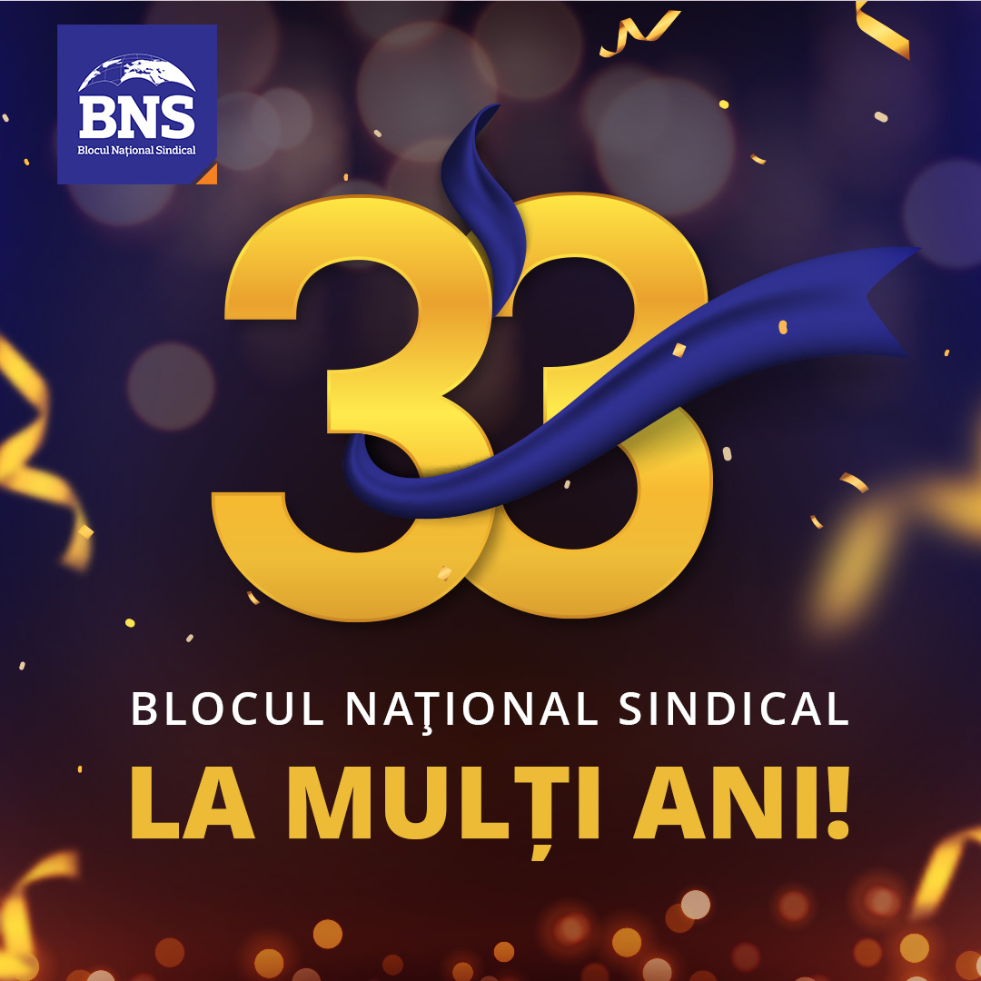 BNS, 33 de ani de la înființare