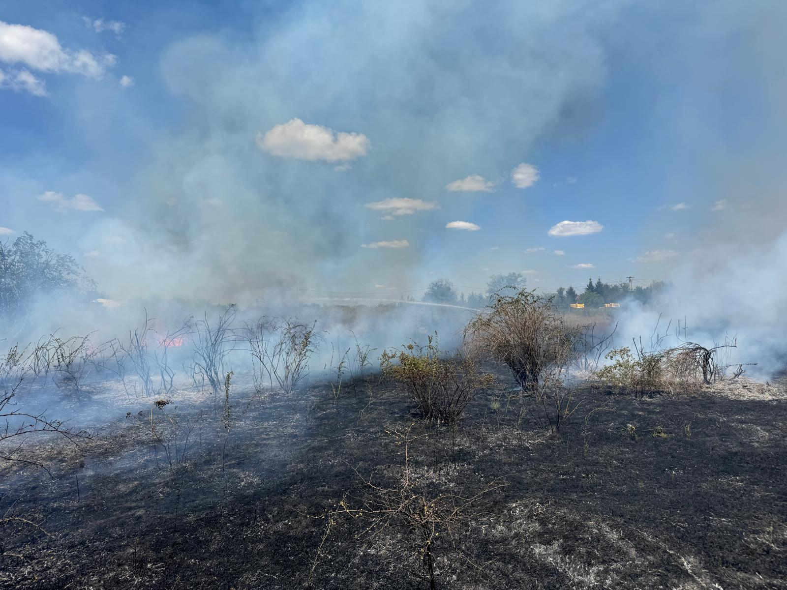 Incendiu devastator lângă Galați. O groapă de gunoi și o pădure au luat foc