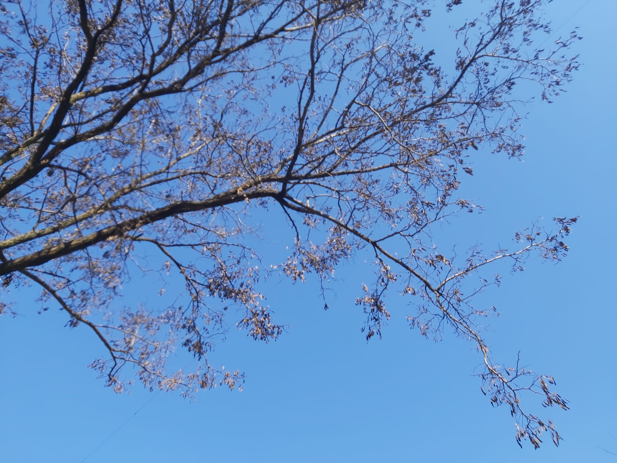 Cum va fi vremea astăzi la Galaţi