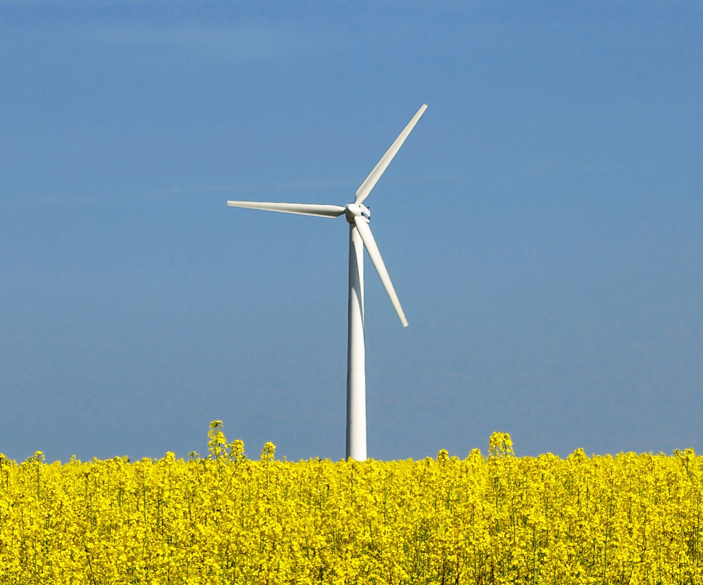 Energia verde aduce bani buni