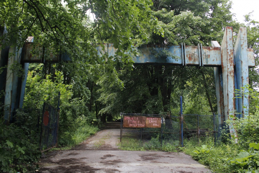 Lipsă de fonduri și personal insuficient la Direcția Județeană de Sport