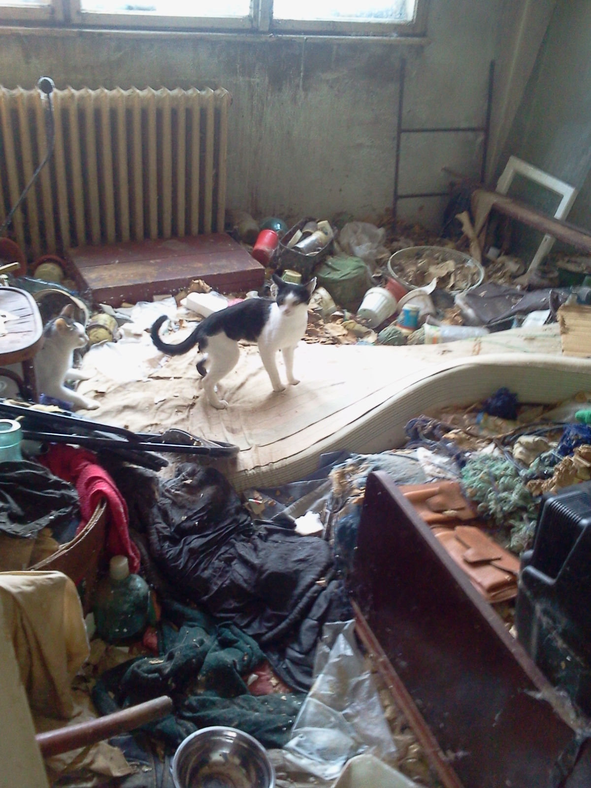 Ce facem cu vecinii certaţi cu curăţenia?