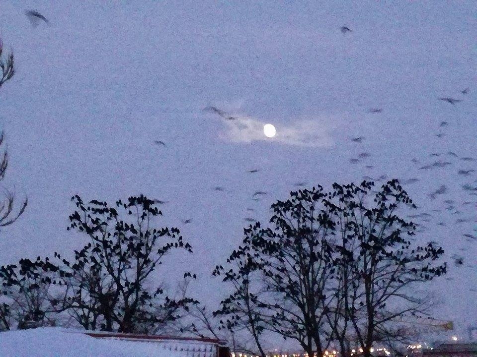 PROGNOZA METEO | Cum va fi vremea, joi, la Galați