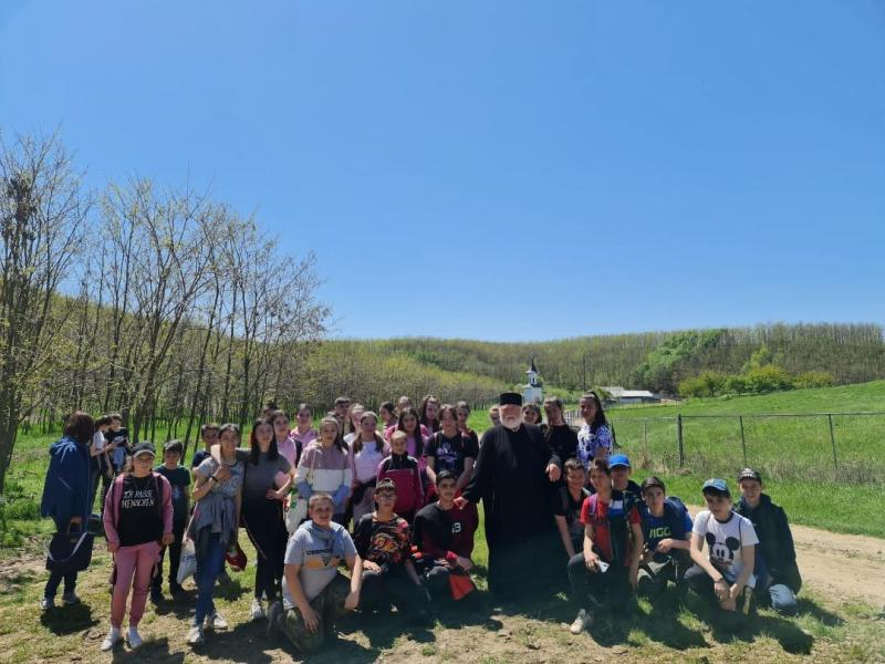 Trei mii de salcâmi plantați la Mănăstirea Cârlomănești