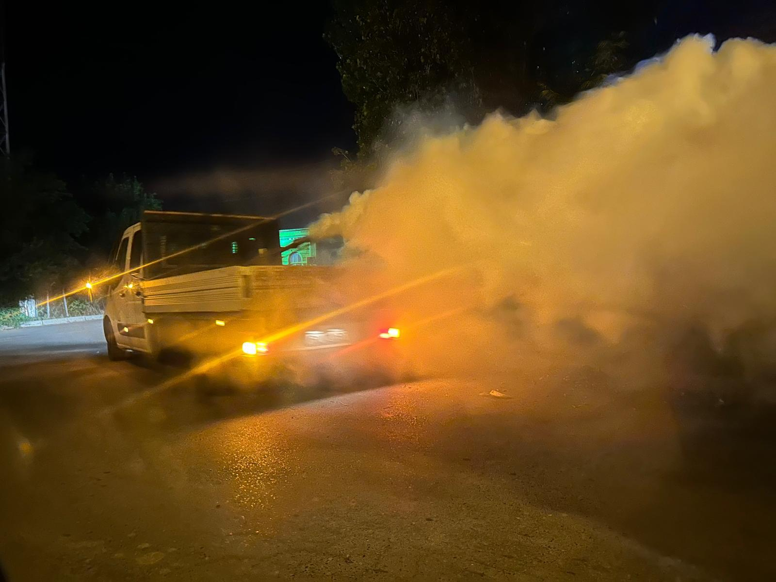 Dezinsecție în parcuri și pe Faleza Dunării