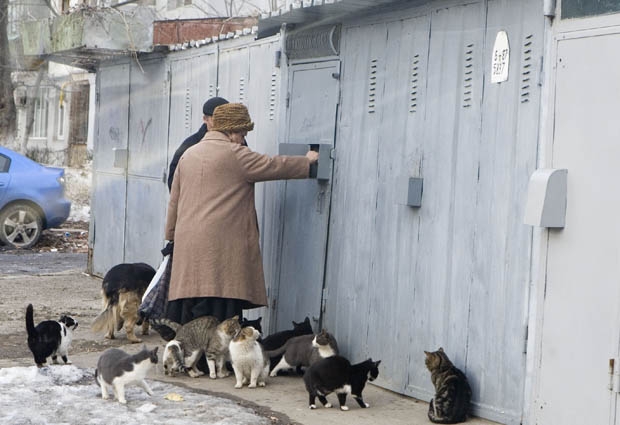 Operaţiunea Garajul - „Dacă nu aplicăm o soluţie modernă, suntem retrograzi!”