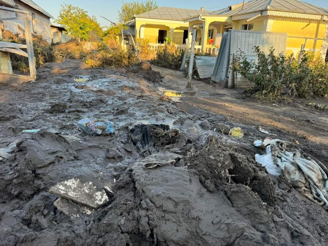 7.000 de drame înecate în noroi