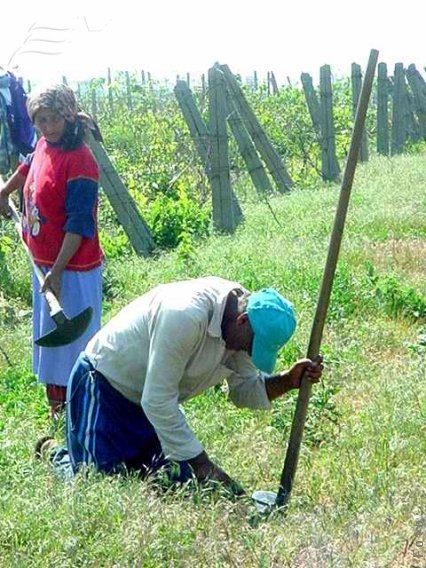ITM - pus la zid de fermierii gălăţeni
