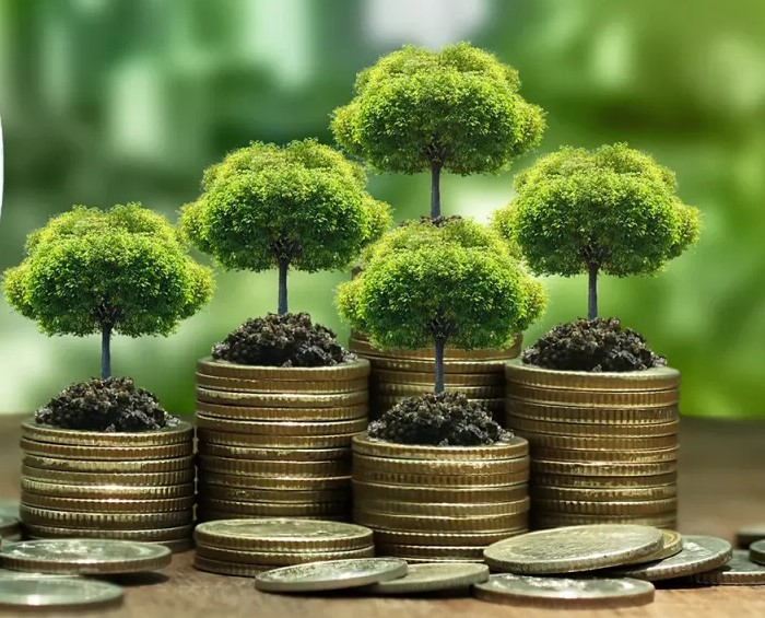 Se pot depune cereri de plată pe schemele de silvomediu