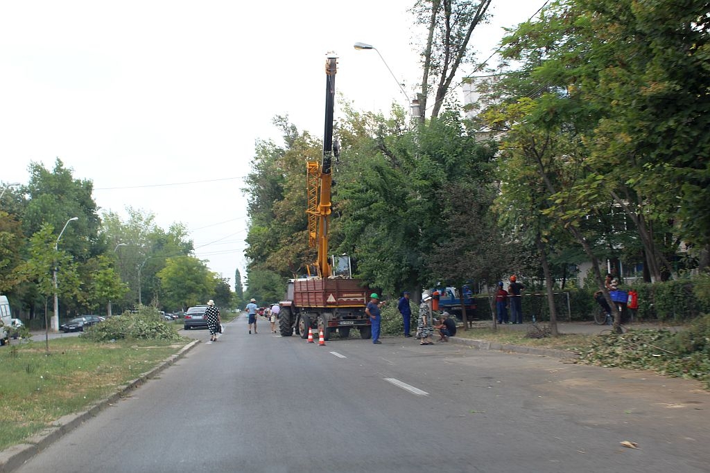 Se TAIE COPACI în Micro 39 la ordinul Primăriei Galați