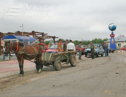 Trei săptămâni cu mortul în casă 