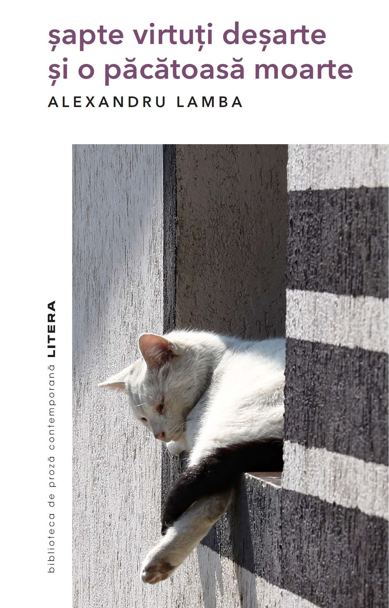 Un alt roman din „Noul val al prozei românești”. Cititorule, tu ești al meu!