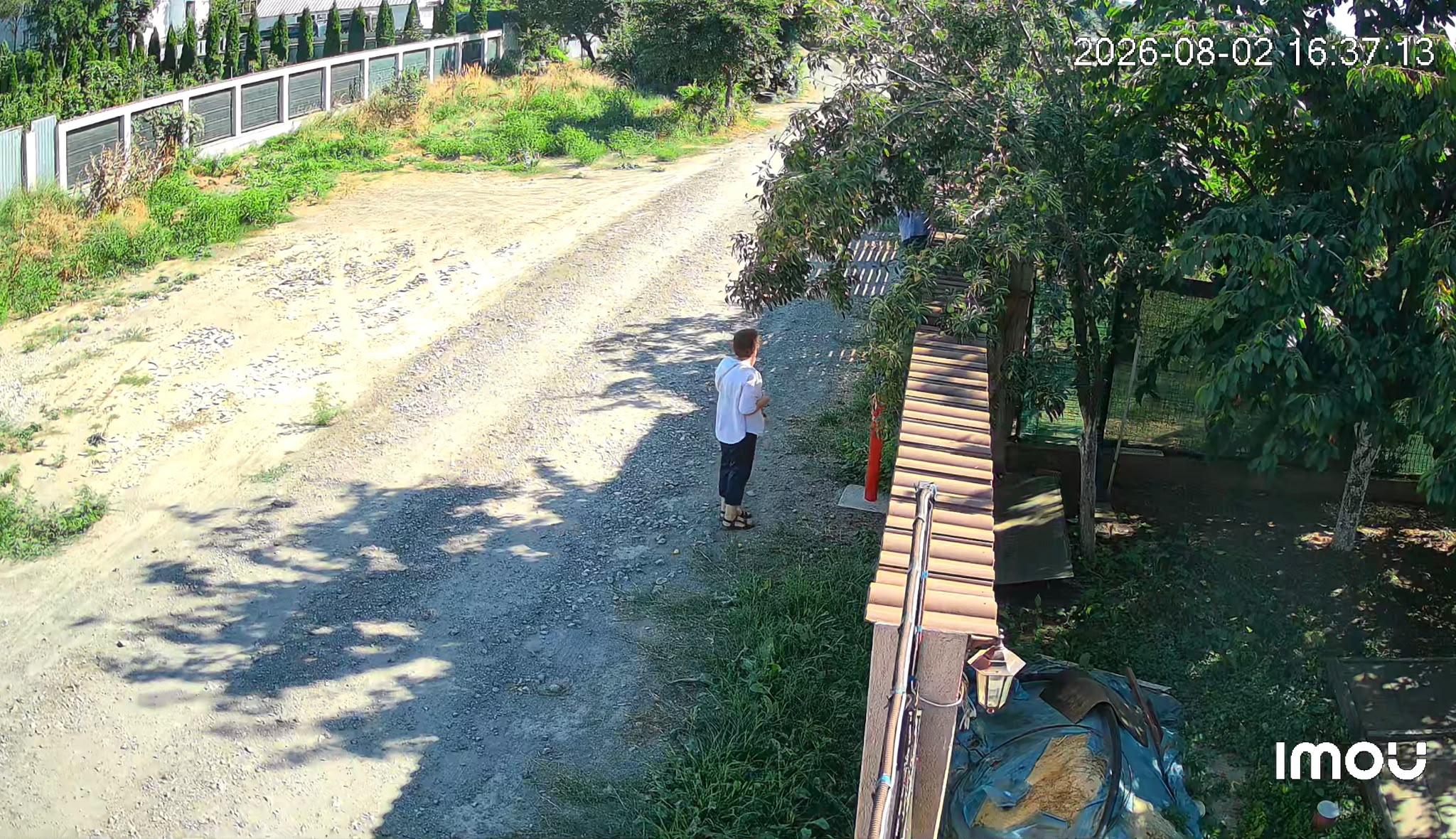 O familie din Galați își plânge câinele mort în chinuri. Proprietarii susțin că animalul ar fi fost otrăvit în curtea casei